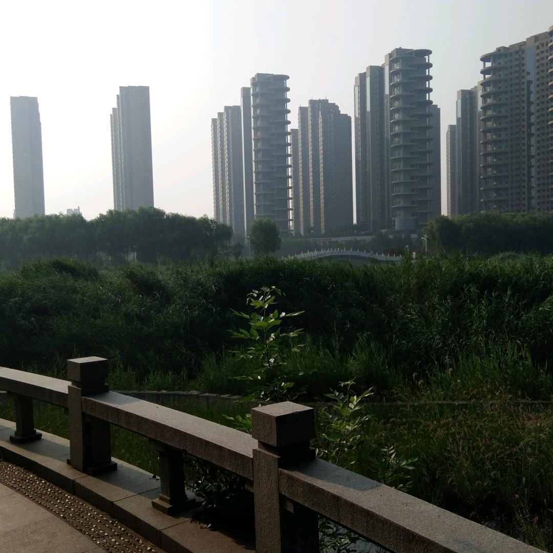 岩松（好物精选）