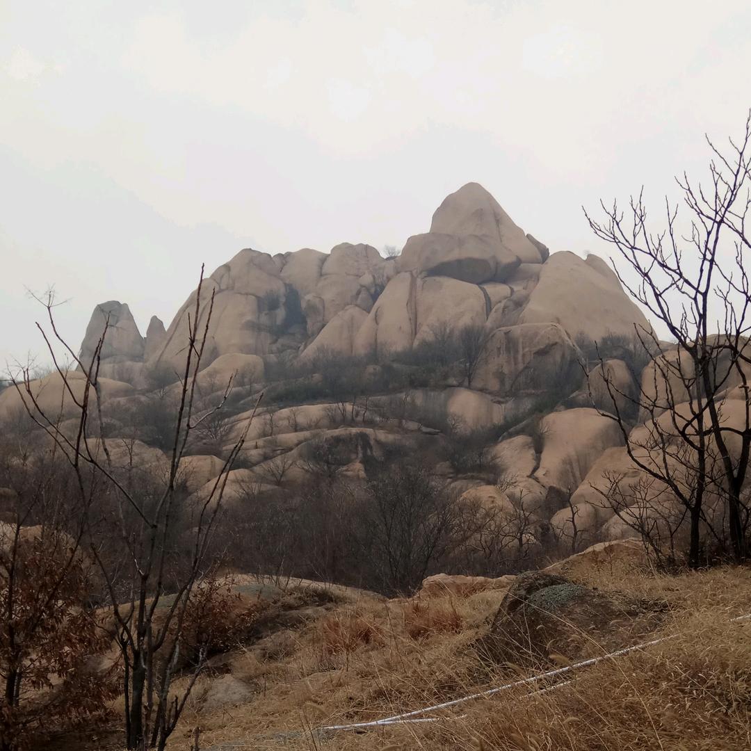 高处不胜寒