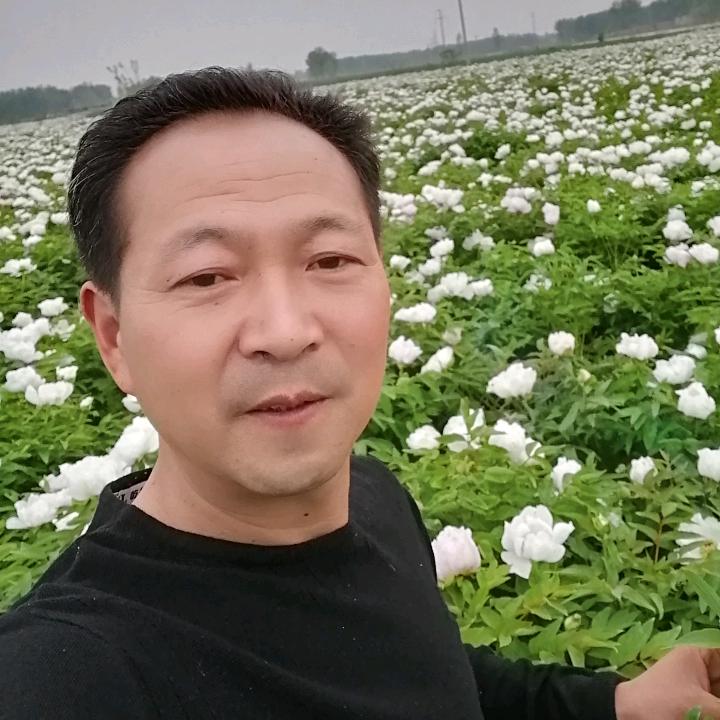 刘红军193365668
