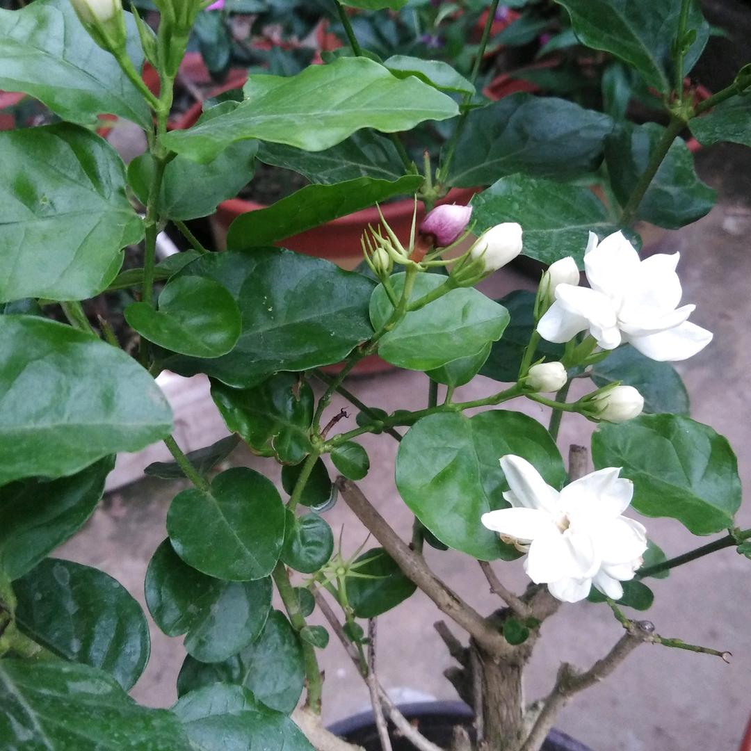 且行且珍惜