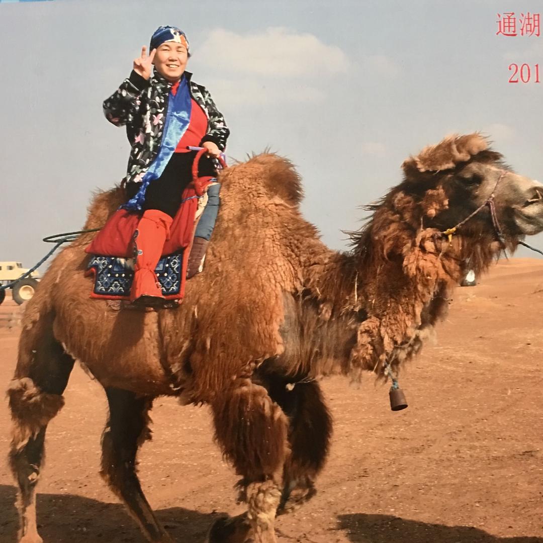 抖抖