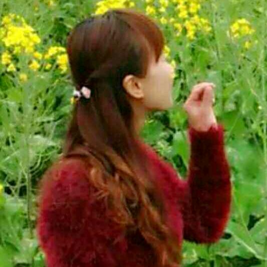 Z～香香