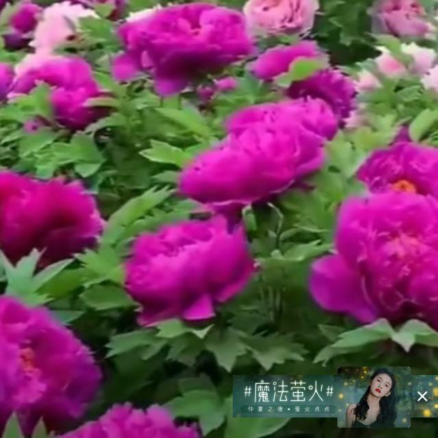 忘记💔过去”，（拒私聊）