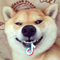 山丘