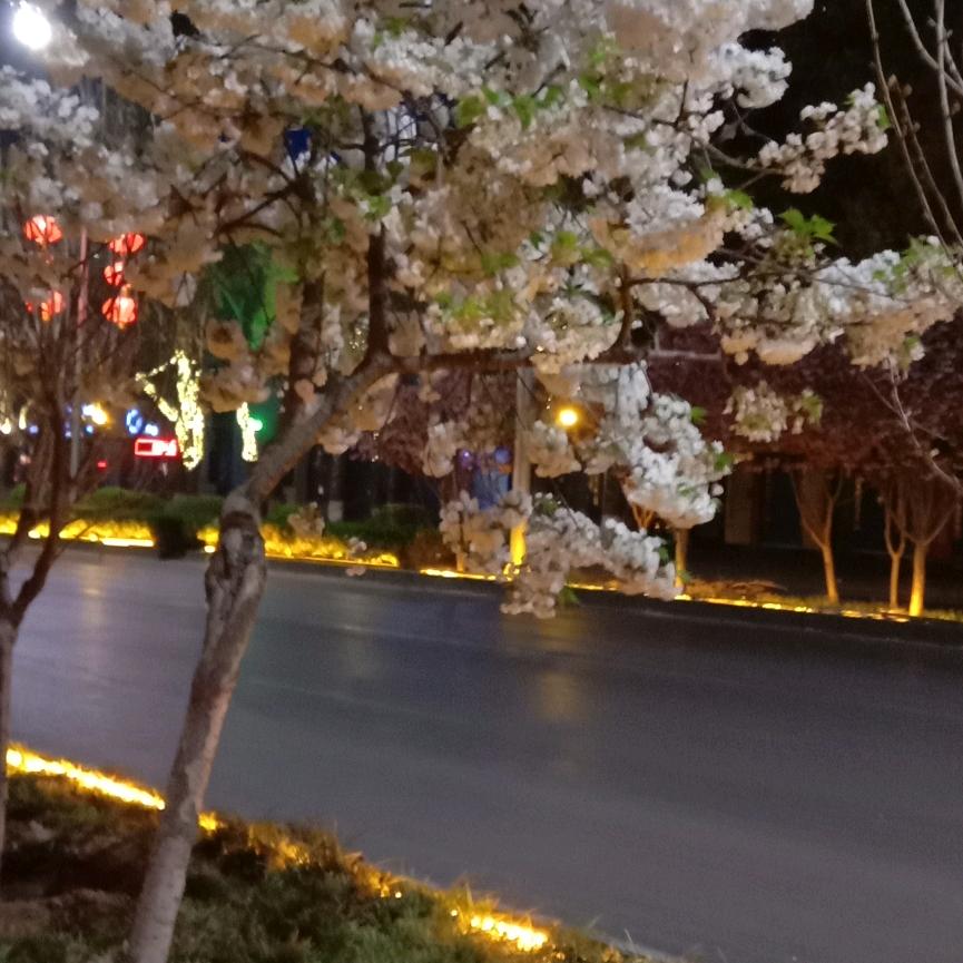 陈、三月桃花开、豆制品批发