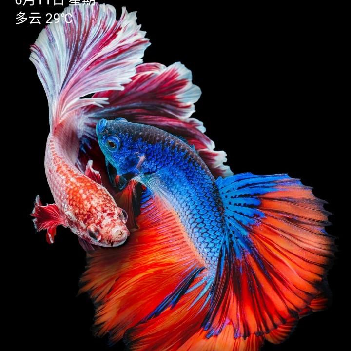 龚兰💗事叶有成⁵²⁰༒ۣ龚度余生@