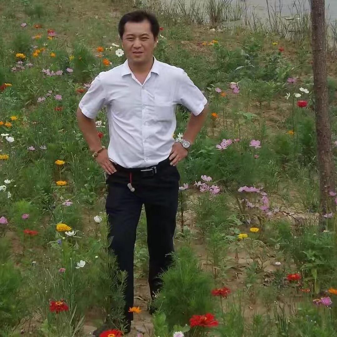 梅花香自苦寒来