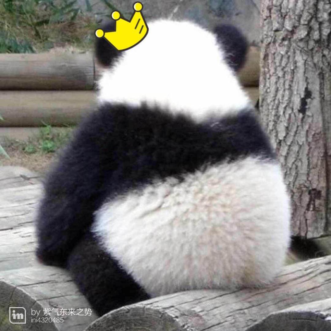 寂静~