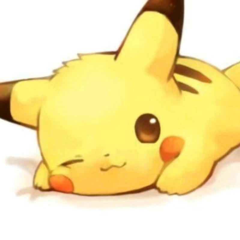 小懒猪🐷