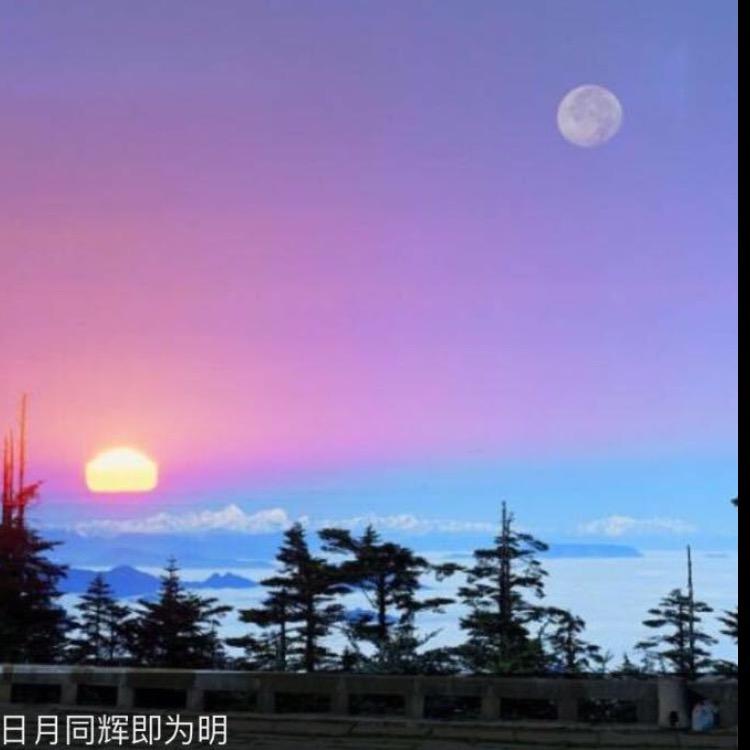 日月同辉