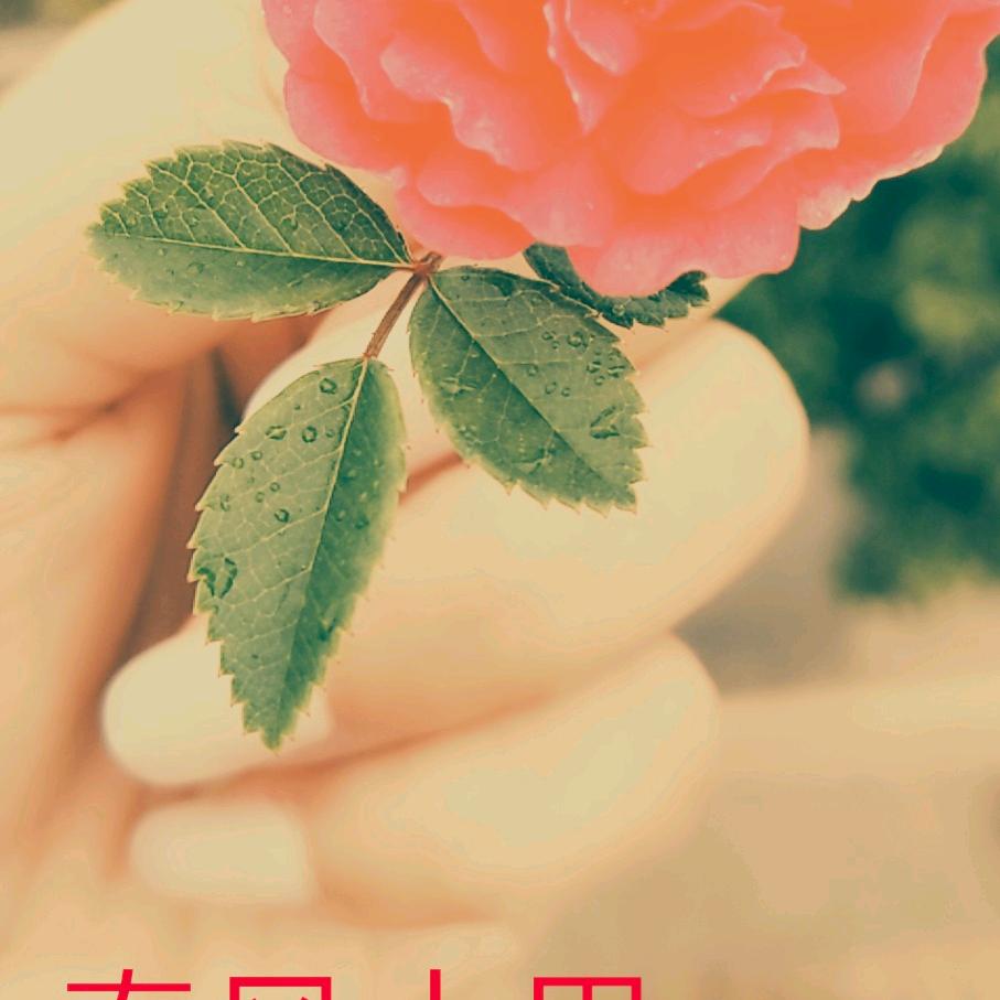 小魏魏     《震鑫酒宴》