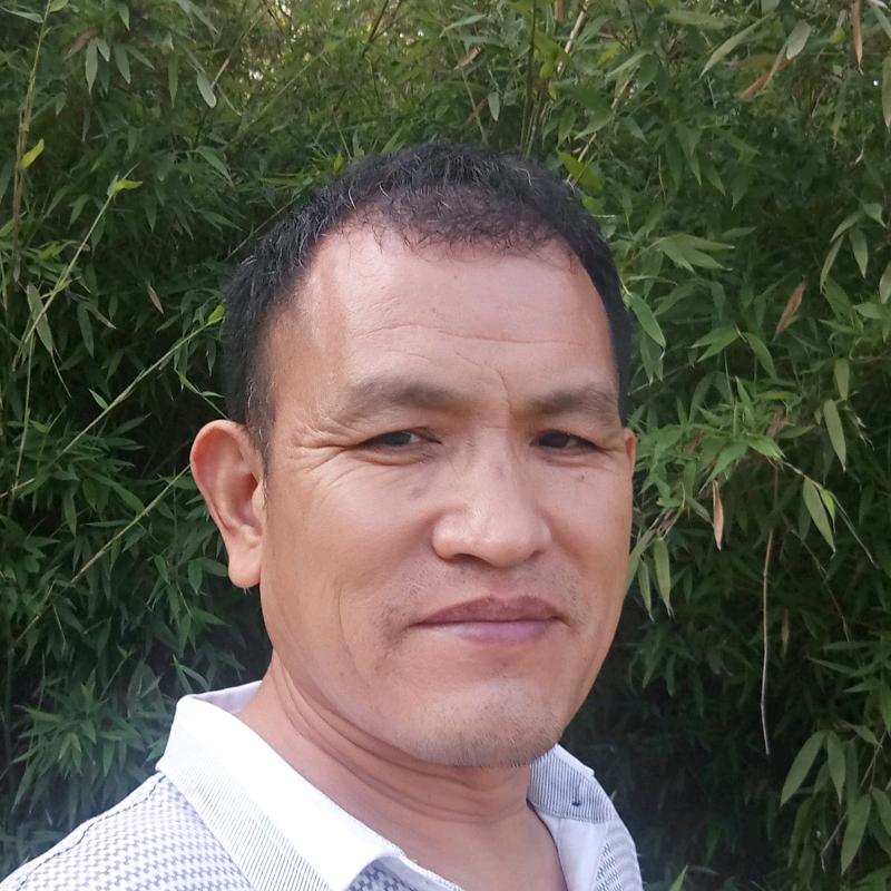 风凌渡生姜种植