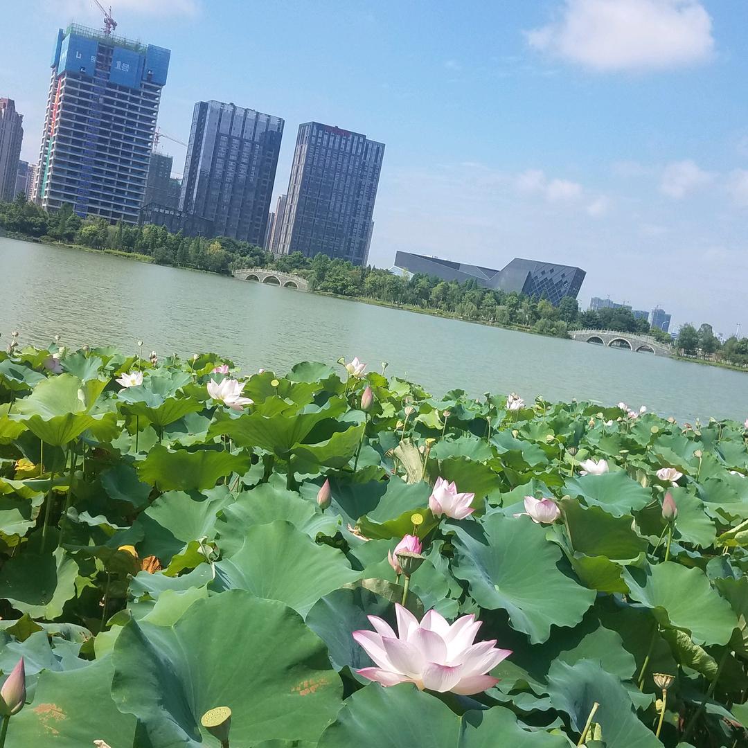远追