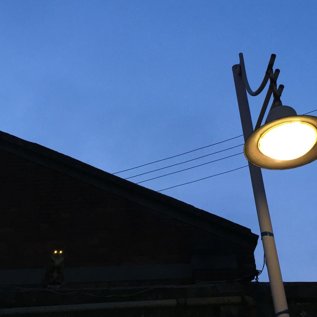 启航路演团@抖音