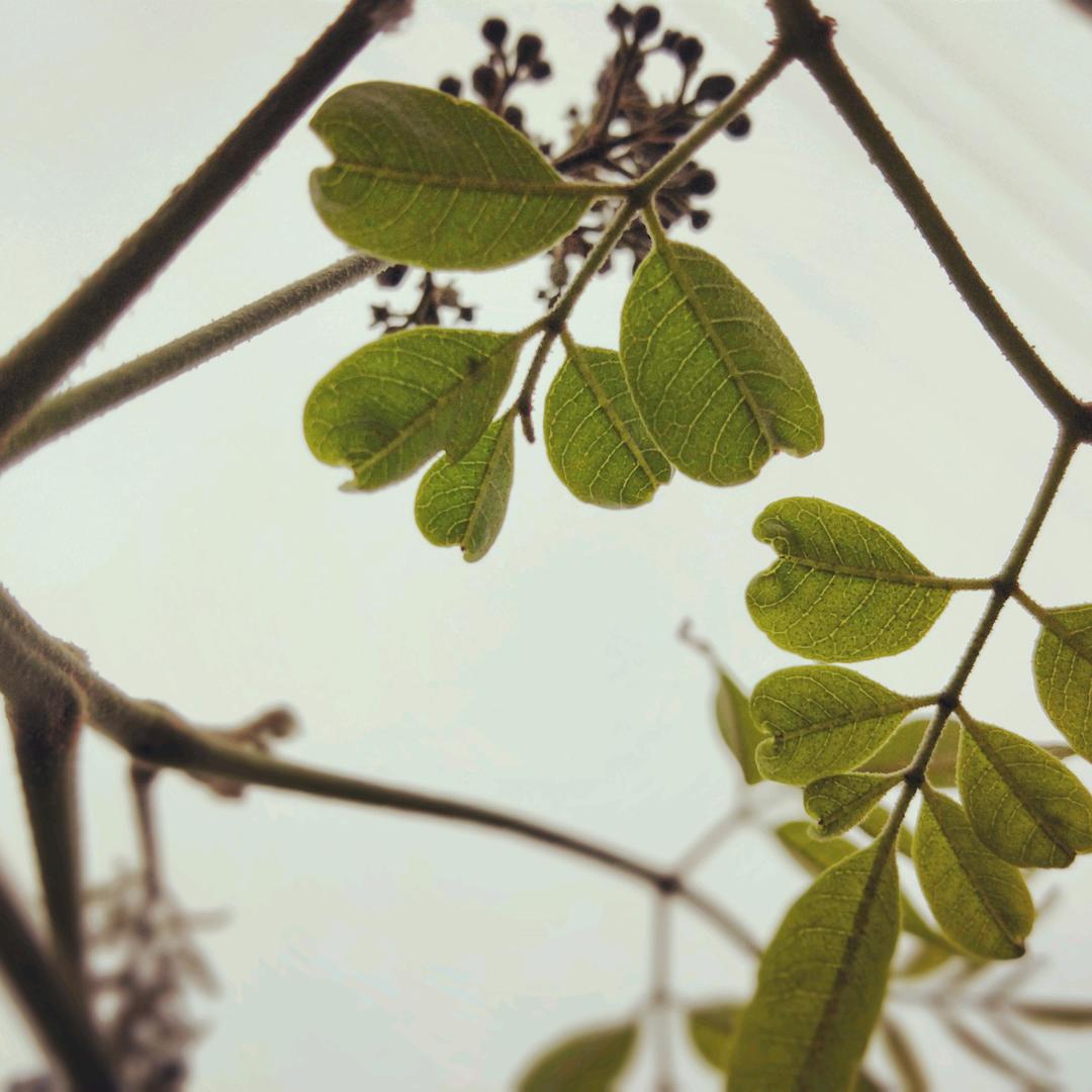 你我共同创造未来科技