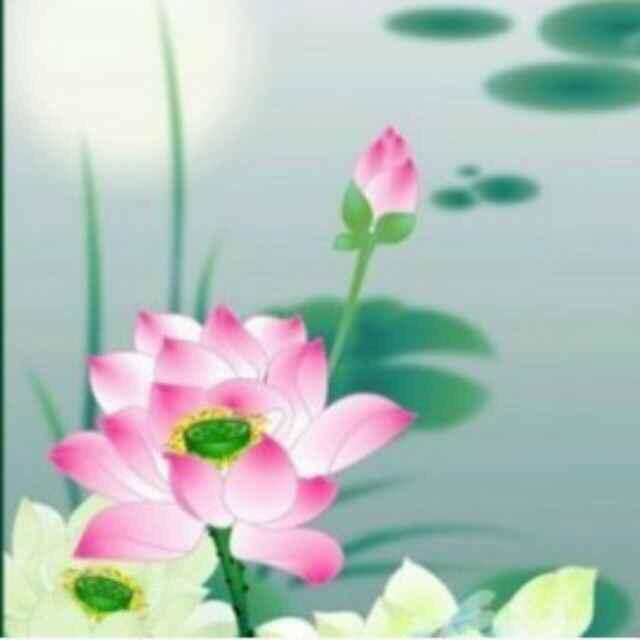 镜花水月