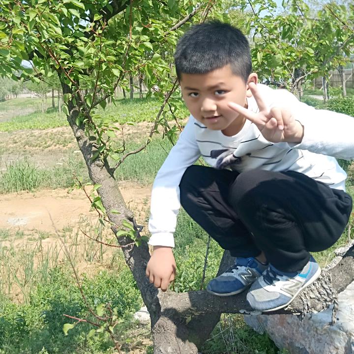 张集阳光陶瓷店