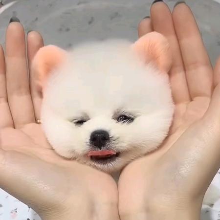 娟娟。