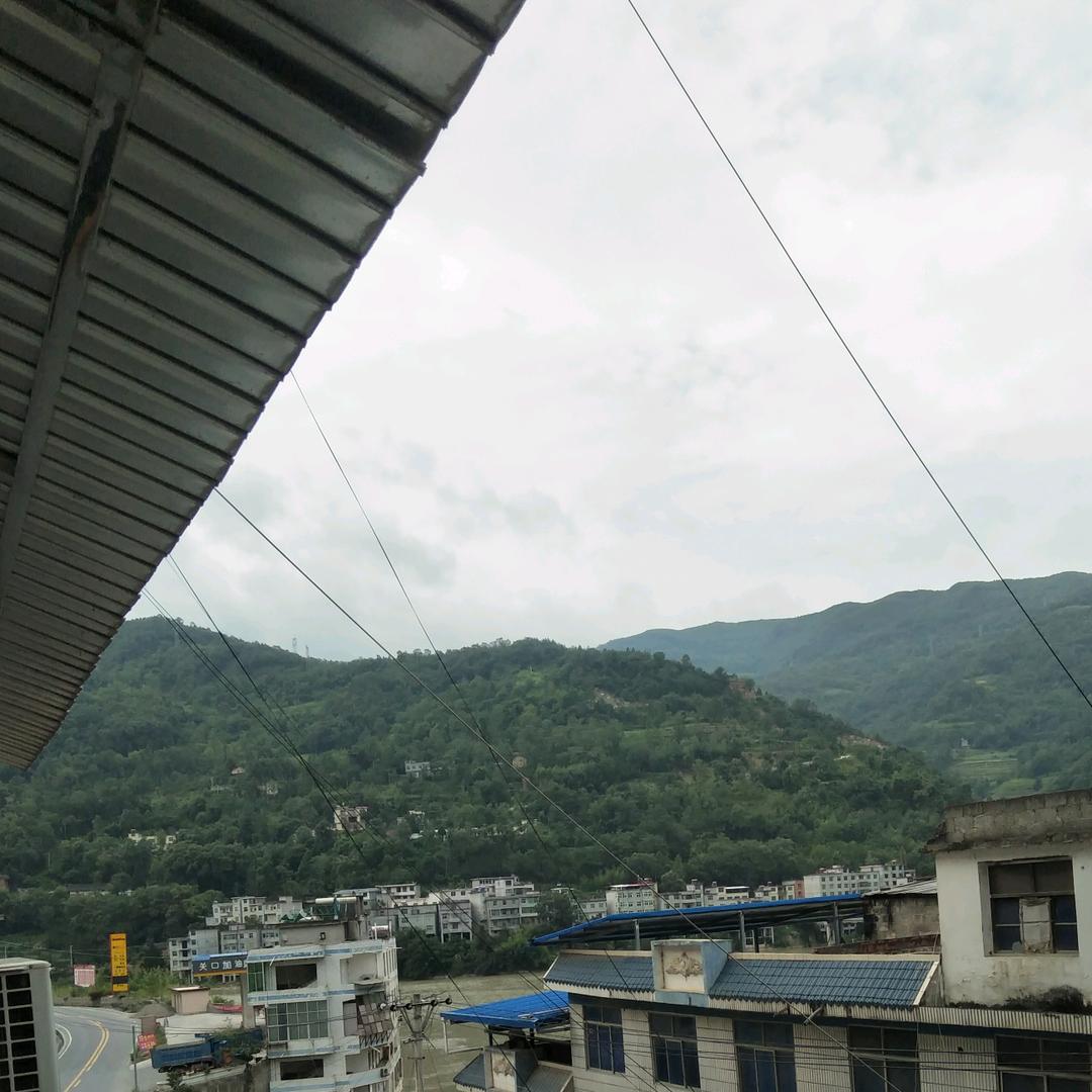 泰山哥