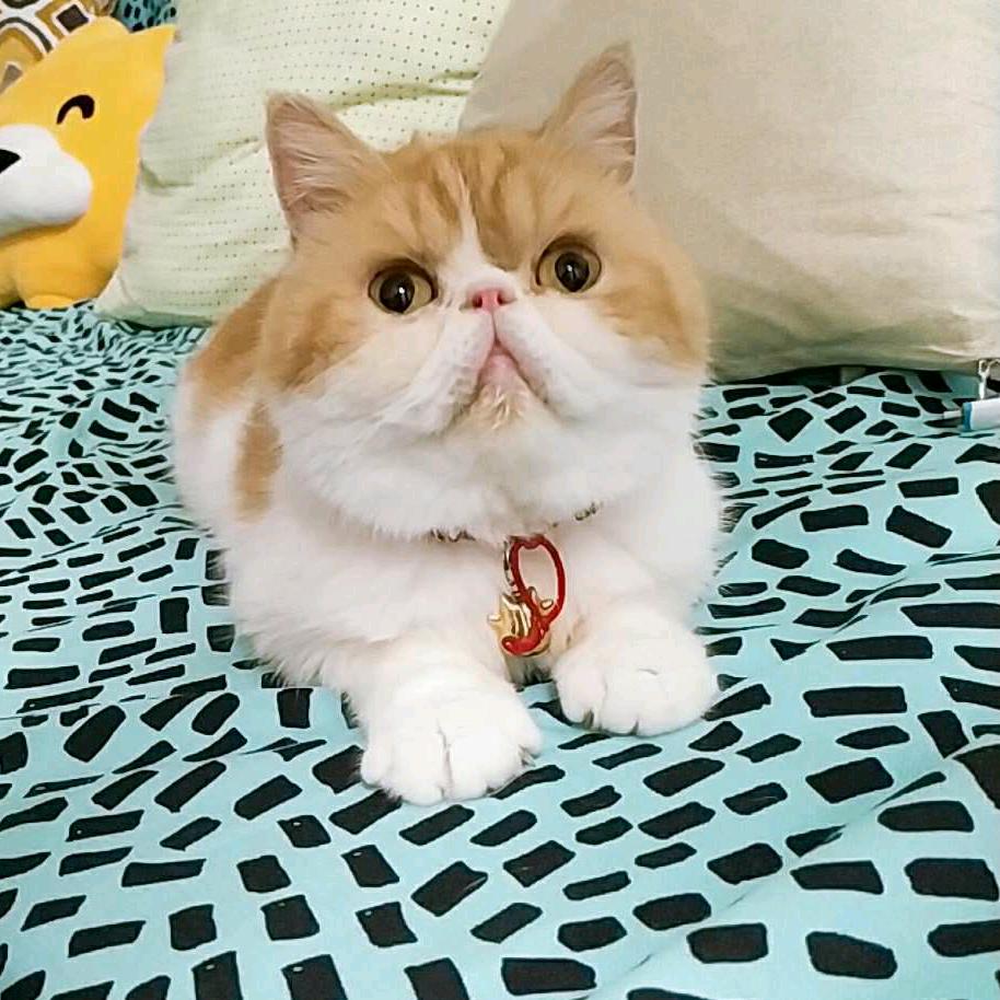 西家红姐说家电