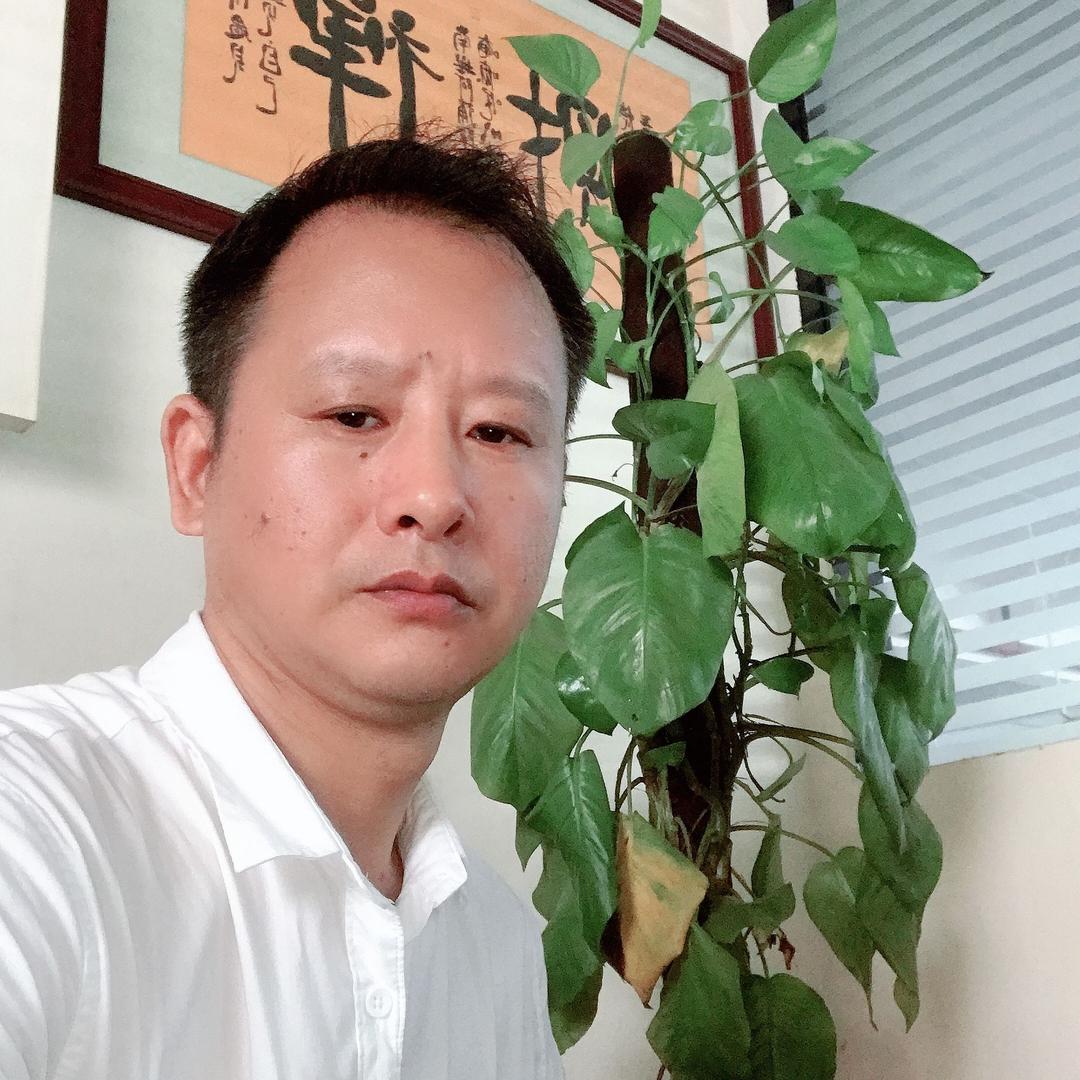春天的太阳