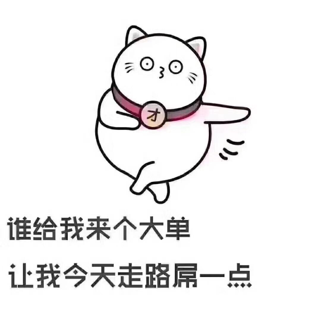 胖胖