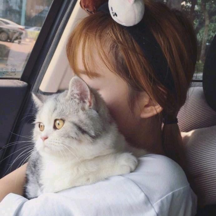 球球