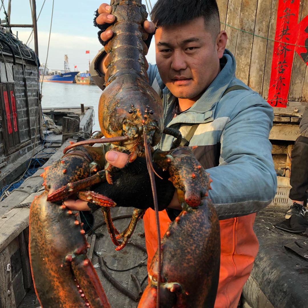 大脸海鲜