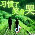 龙哥