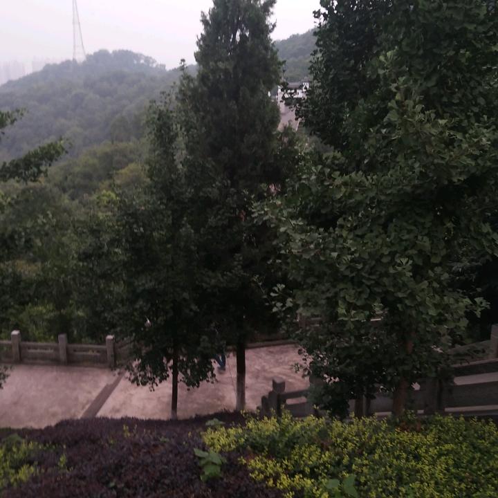 化风行万里