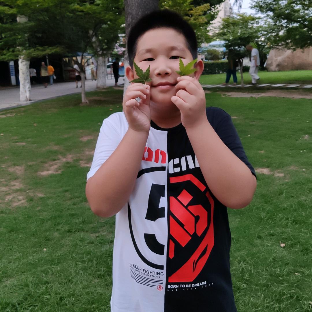 城南花已开👠👠👠👠