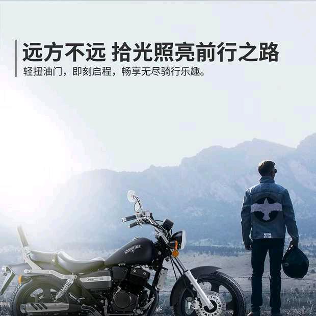 自由骑士