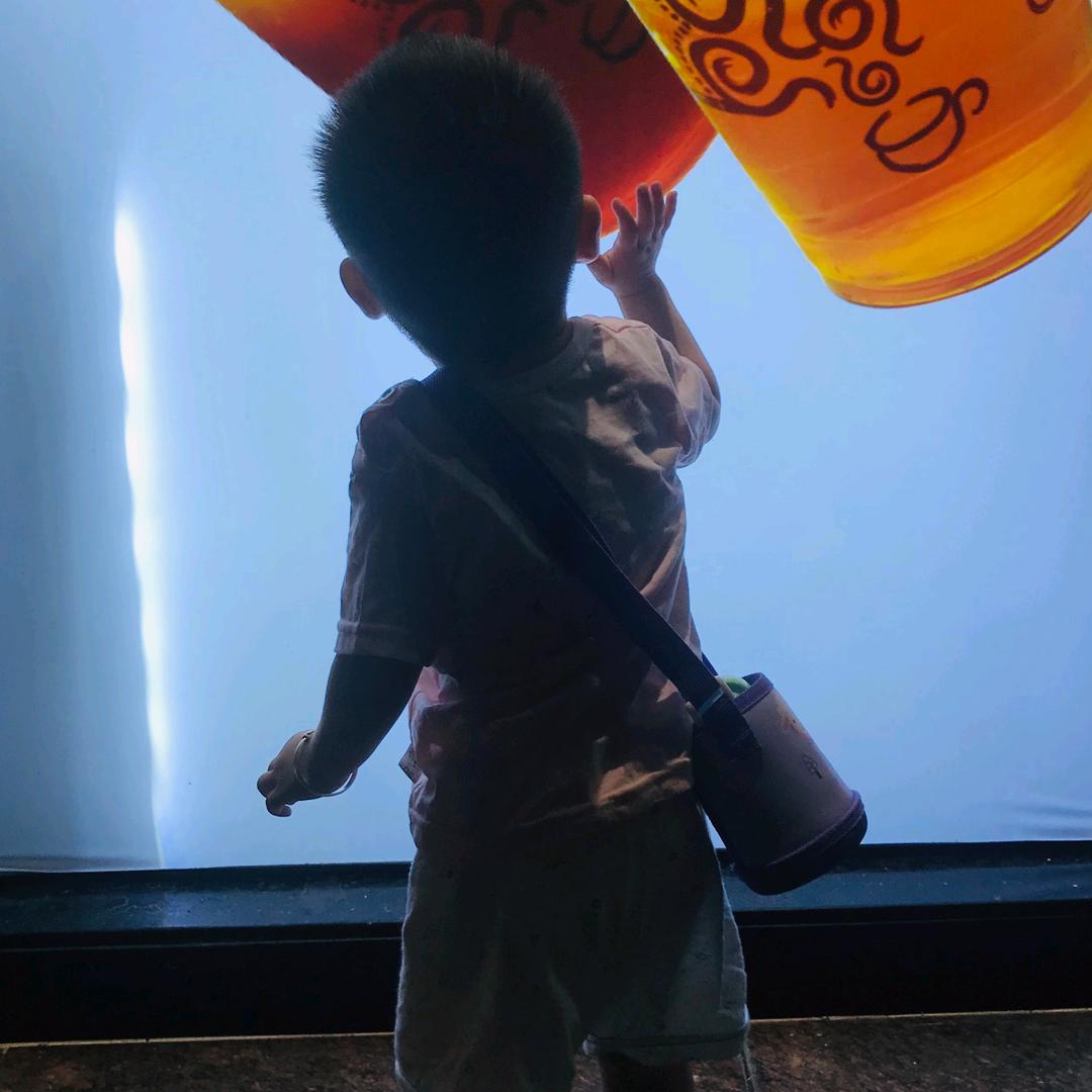 小冯小冯、创造奇迹