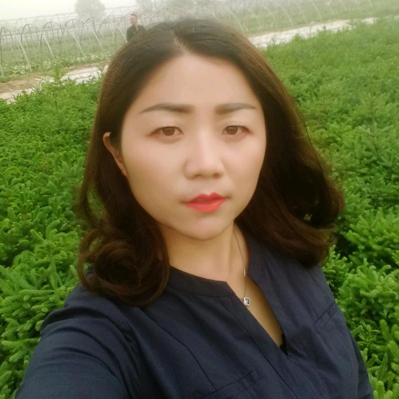等风吹来
