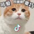 某Y🍓