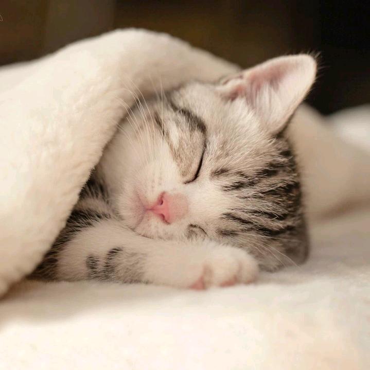 LK🐮¹⁹₉₇曹℘࿐