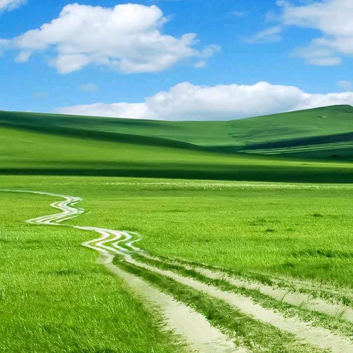远方的路