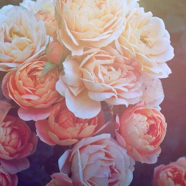 笑谈人生－💓