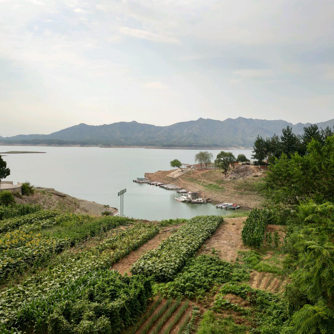 ୧( ⁼̴̶̤̀若阳୧( ⁼̴̶̤