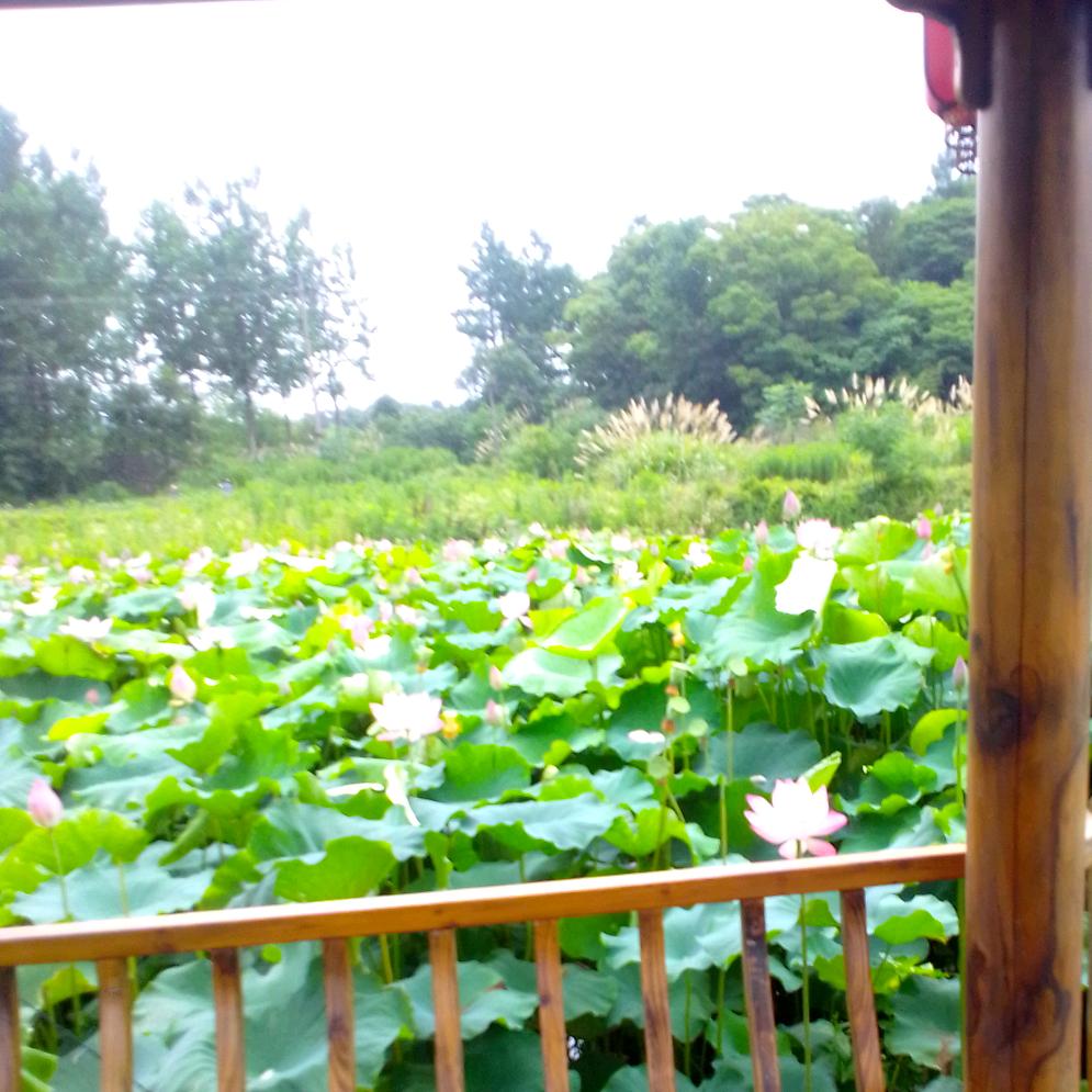 曹正东