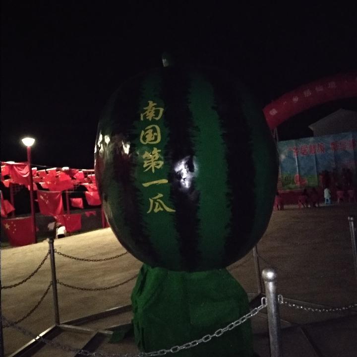 一头浪猪