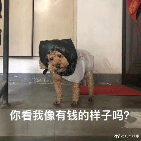 那风写了什么