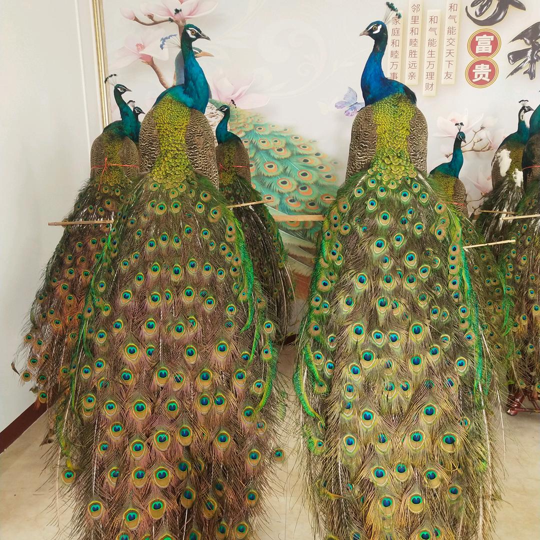兴永养殖场
