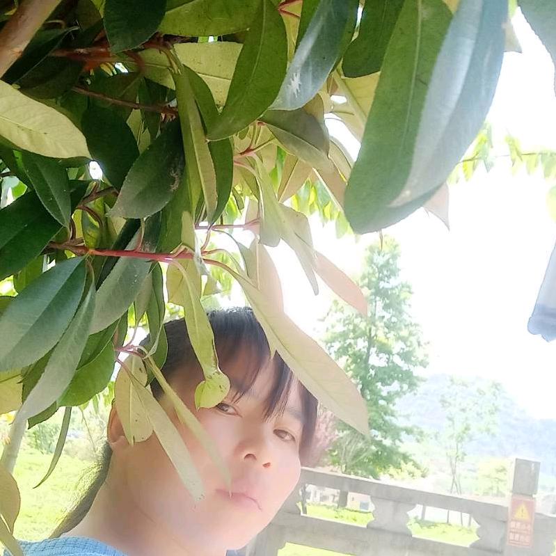 《扬@兰）