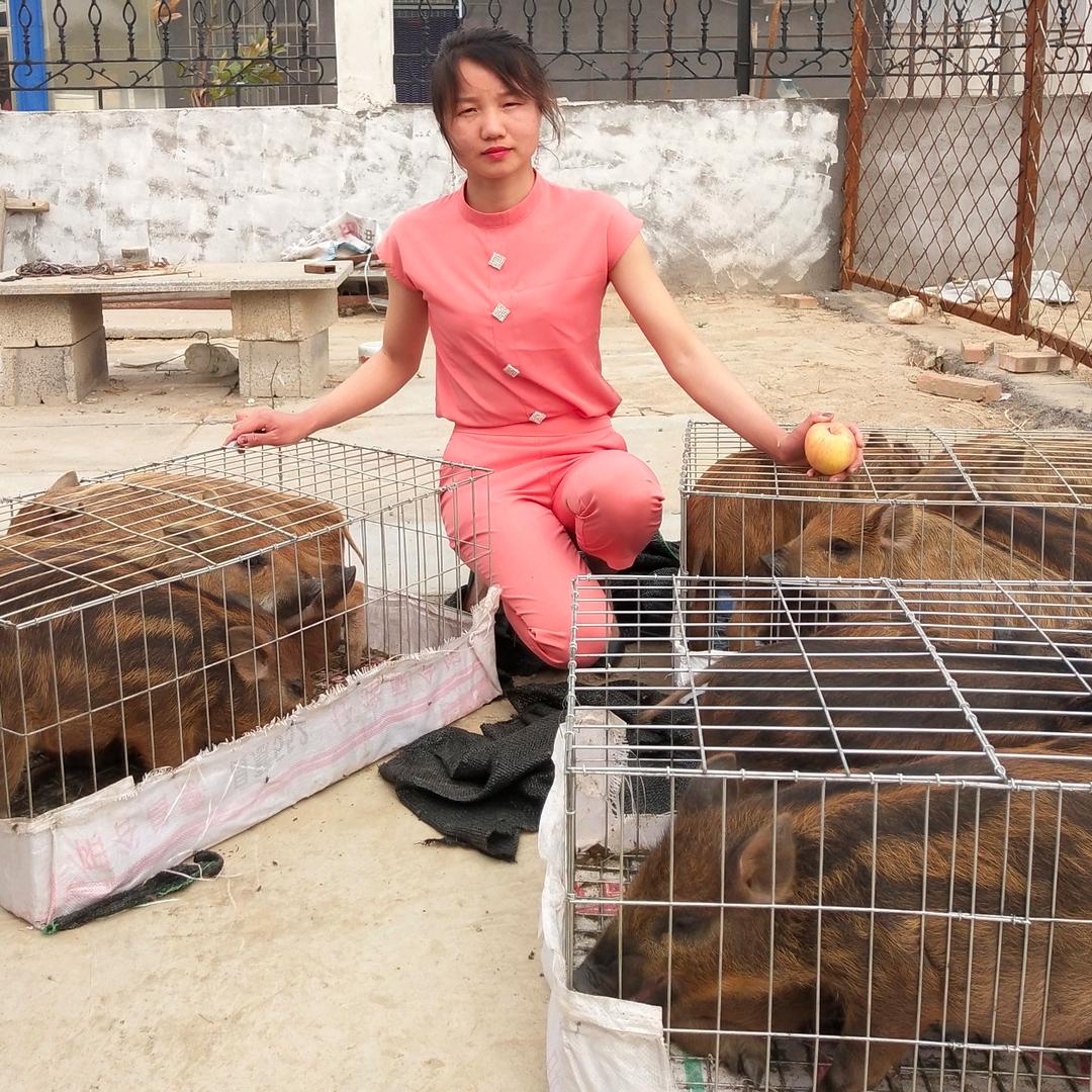 嘉祥县鲁坤家庭农场