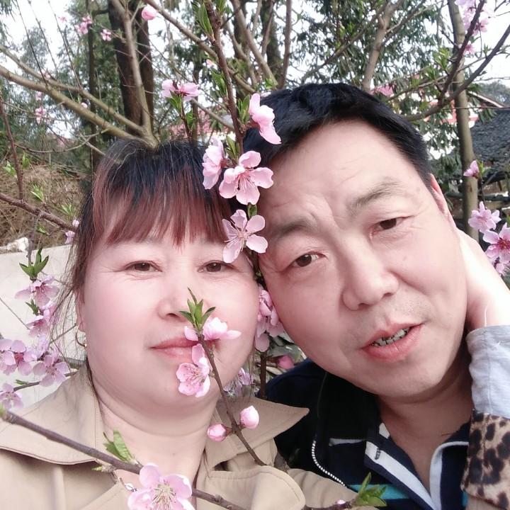 啊琴