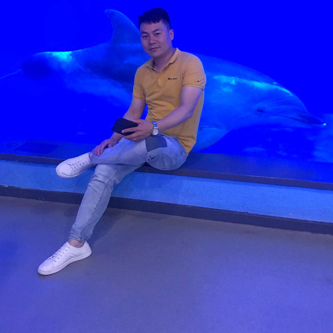 王力