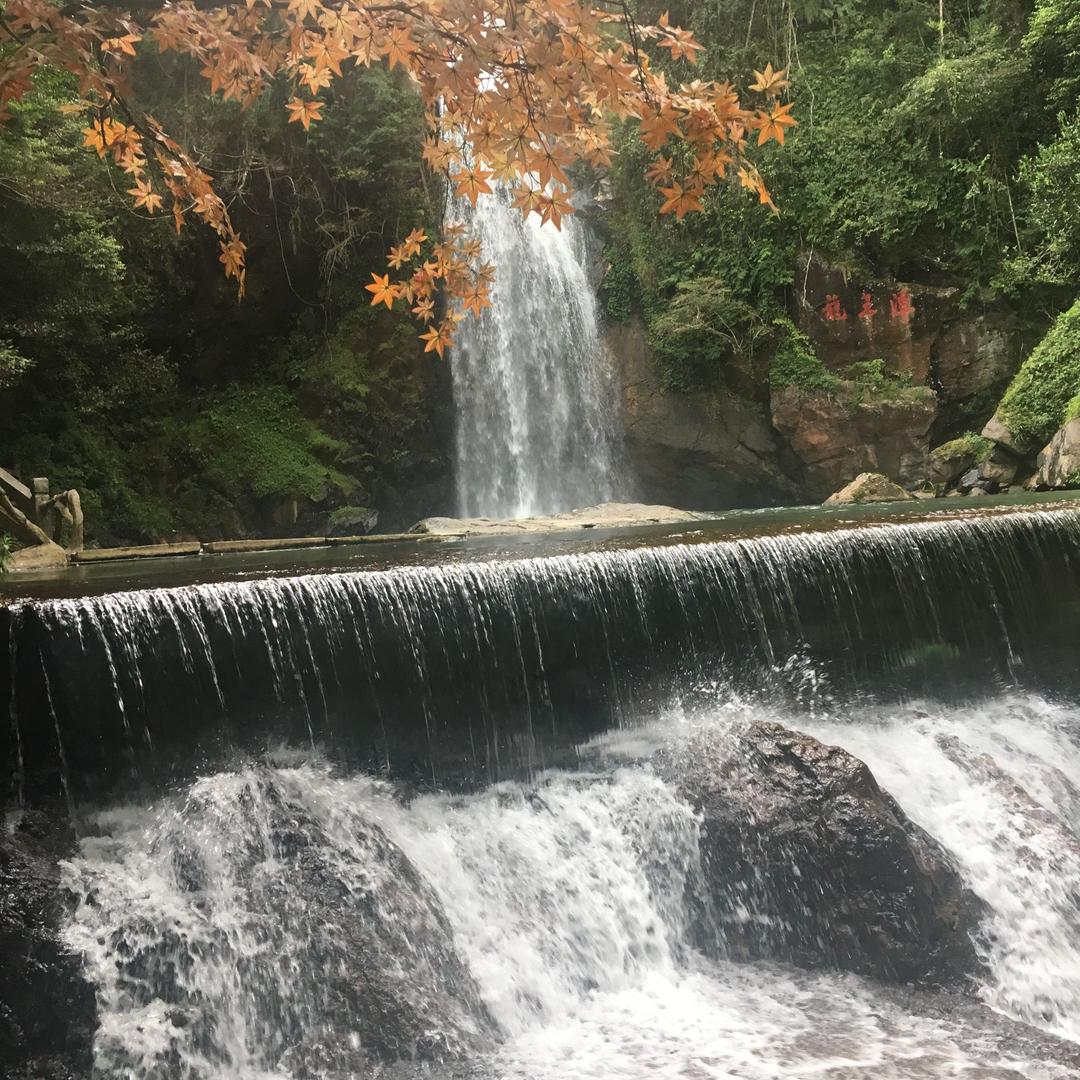 倾城
