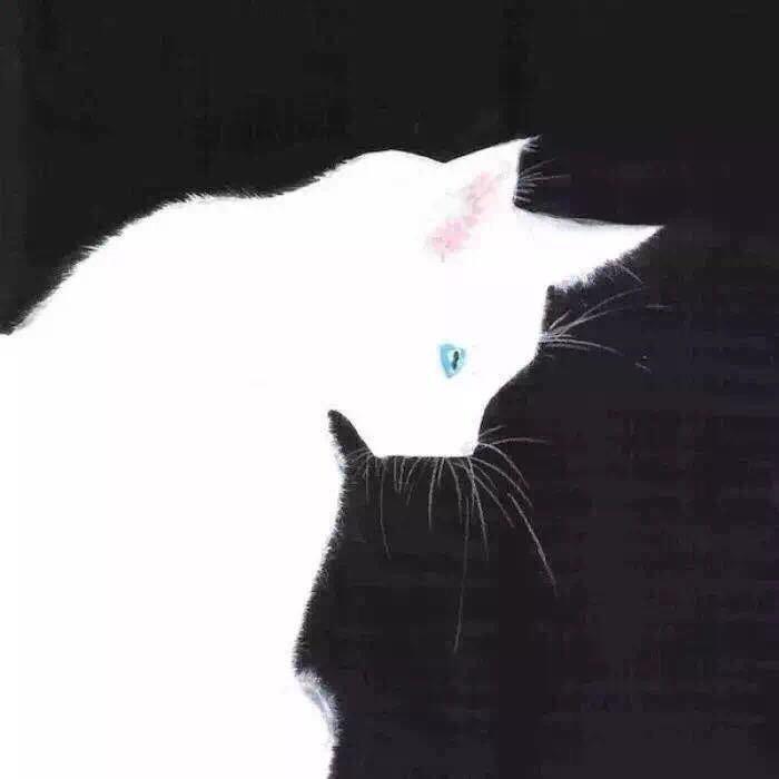 王木犊