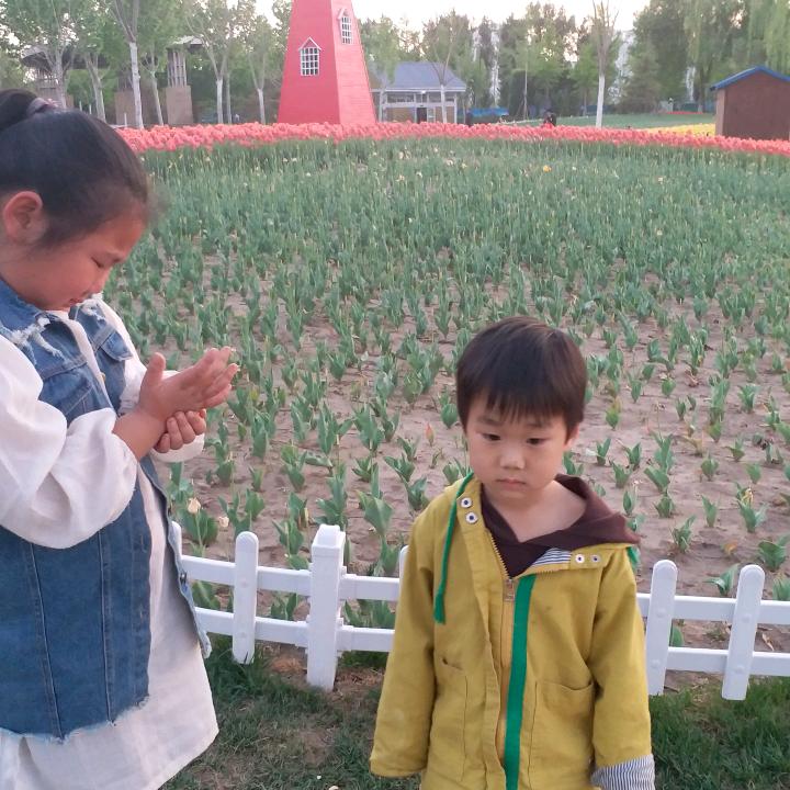 黑家军太和丁记板面牛杂面